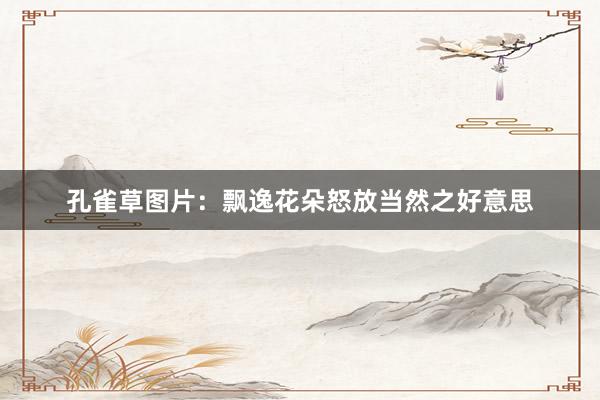 孔雀草图片：飘逸花朵怒放当然之好意思