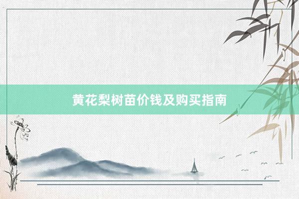 黄花梨树苗价钱及购买指南
