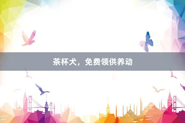 茶杯犬，免费领供养动