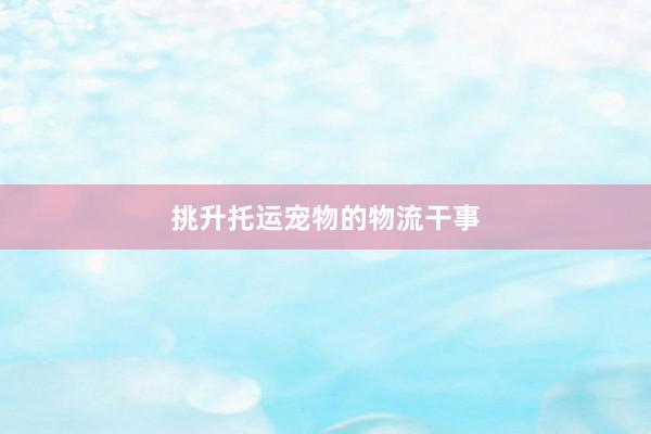 挑升托运宠物的物流干事